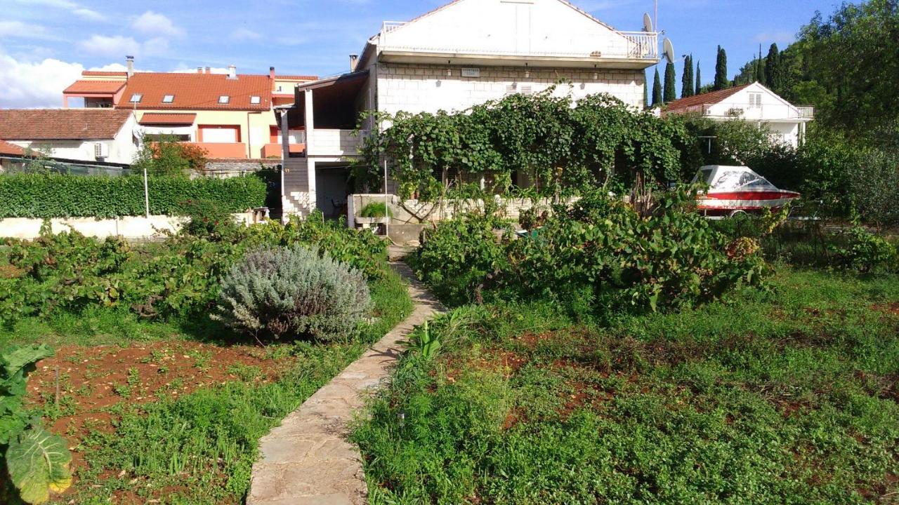 Apartment Marita