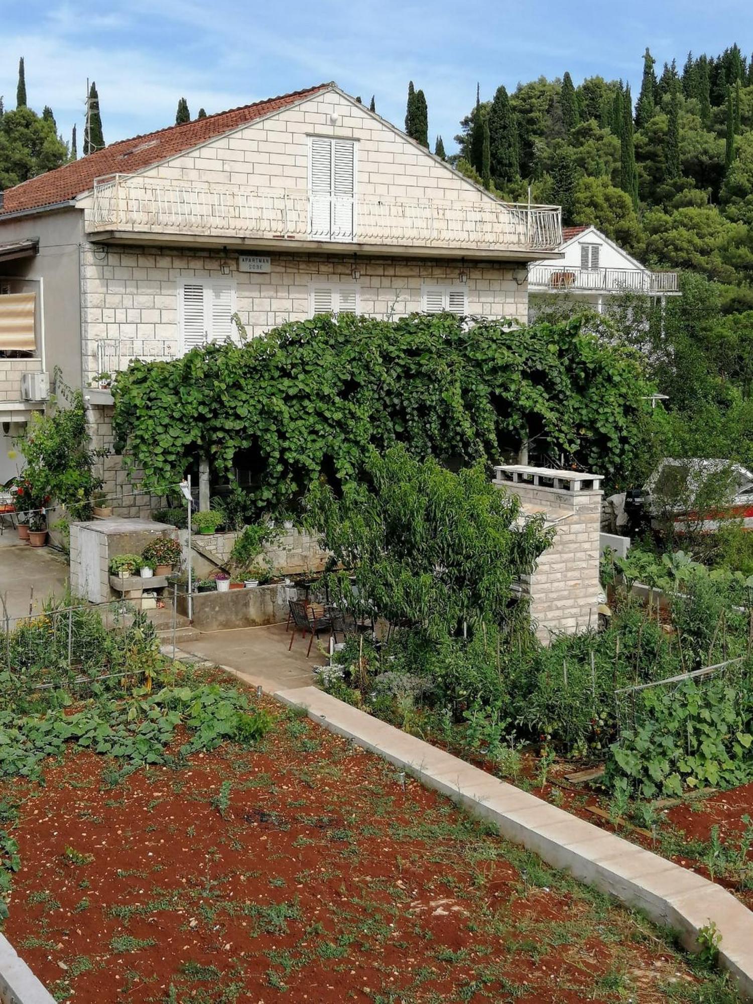 Marita Korcula Town